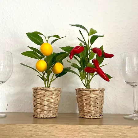 Apartment Vesteblick *